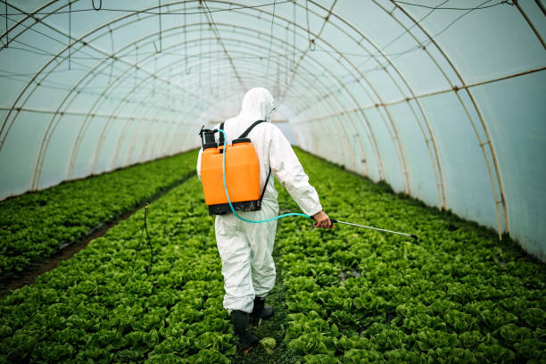 Pest Control Cost in Baker, MT