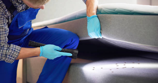 Best Affordable Pest Control Services  in Baker, MT