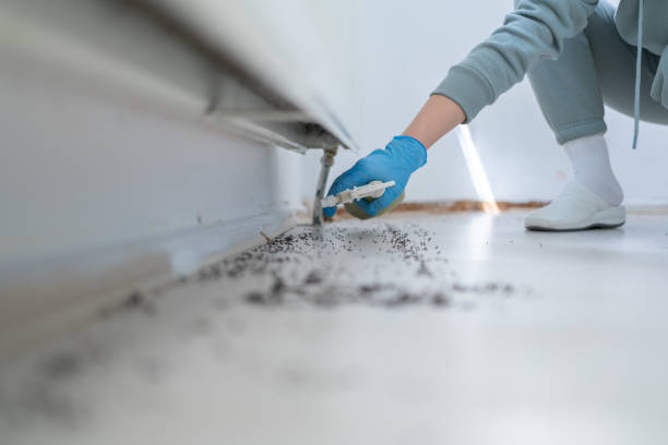 Pest Prevention Services in Baker, MT